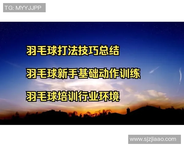 羽毛球专题：深入分析杭州羽毛球队的技术特点与训练方法