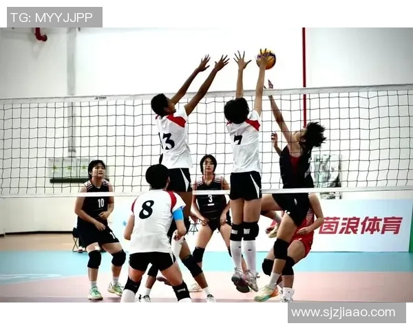 上海排球队的默契配合揭秘让我们一起领略排球的魅力与精彩