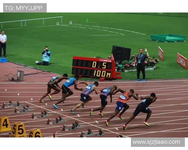 上海乒乓球队在钻石联赛中的拼搏历程与荣耀时刻回顾